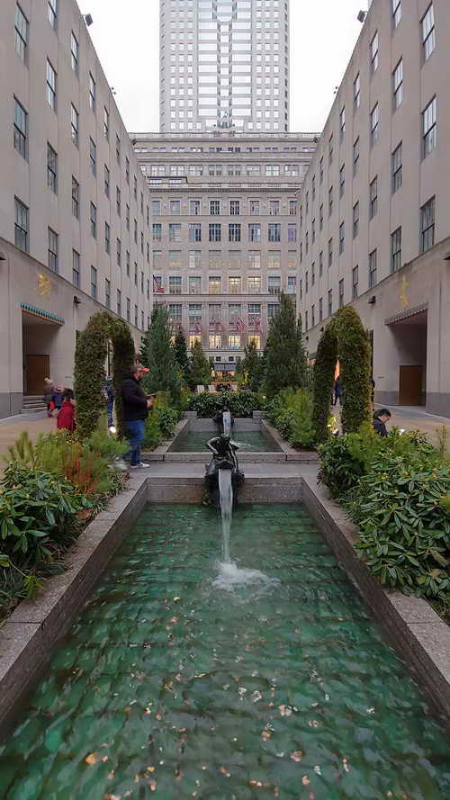 NYC_2020-02-01 15-22-21_CELL_20200201_152221_HDR